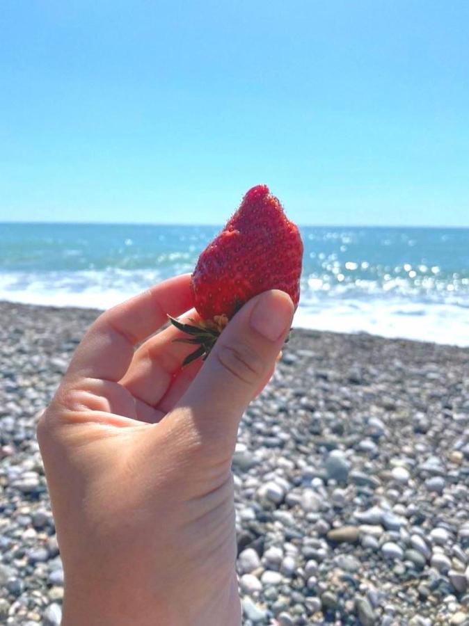 Бунгало Мини Отель, Пицунда , Лдзаа 外观 照片