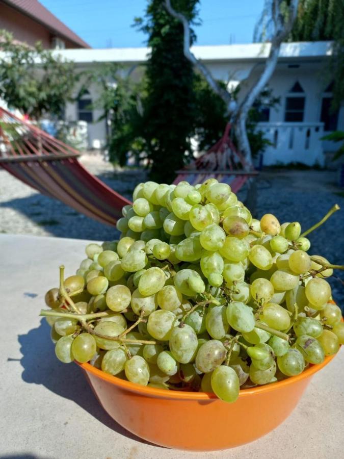 Бунгало Мини Отель, Пицунда , Лдзаа 外观 照片